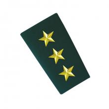 Epaulettes