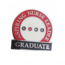 Nursing Graduation Pins