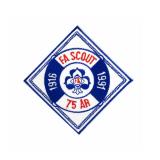 Scout Patches
