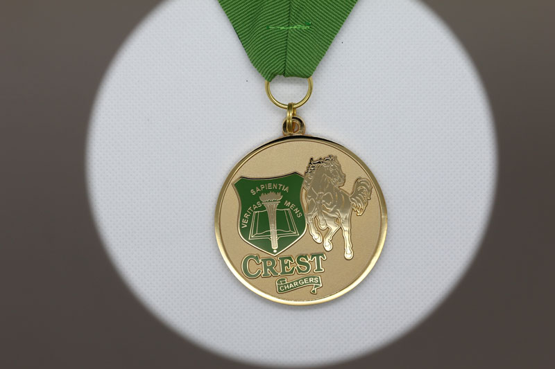 Imitation Hard Enamel School Medal